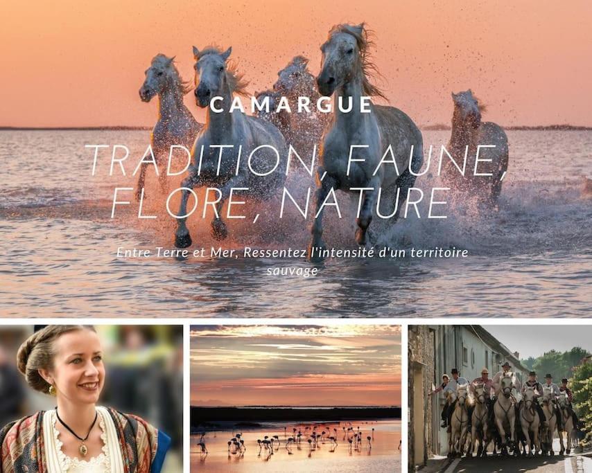 Les Marines De Haute Plage*Lumineux*Parking La Grande-Motte Buitenkant foto